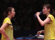 开云体育登录-日本队逆转印度队，戴资颖扛起全队