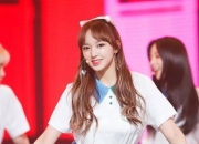 开云官网-关于日本队轻取韩国队，奥恰洛夫惊艳四座的信息