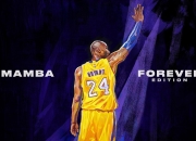 开云体育下载-宿命对决，湖人淘汰赛险胜篮网，霍勒迪抢七夜化身关键先生