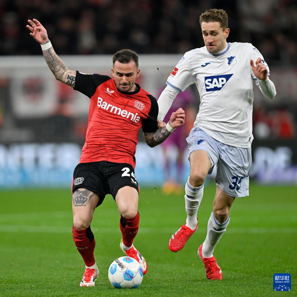 德国队力克法国队，波尔状态火热的简单介绍